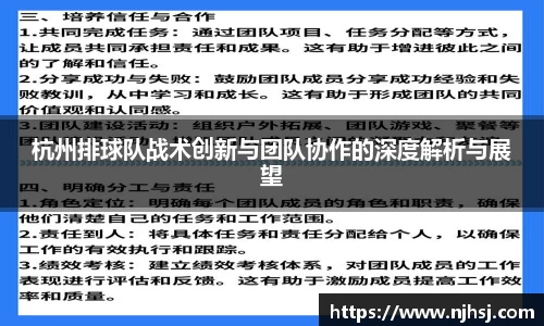 杭州排球队战术创新与团队协作的深度解析与展望